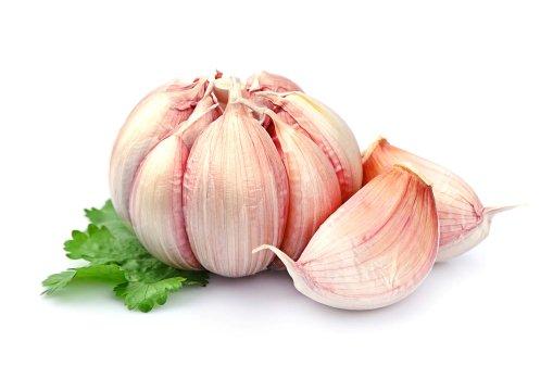Garlic Garlic