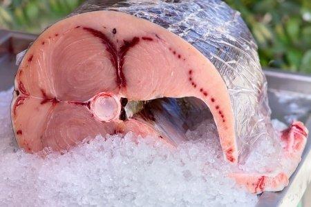 Fresh Swordfish on Ice