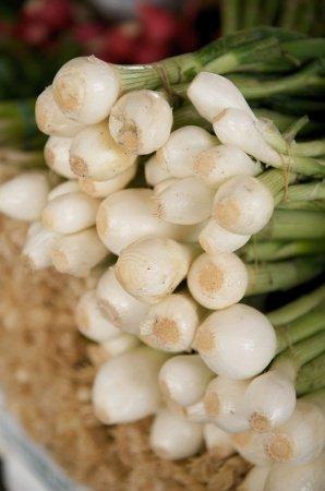 Scallions Scallions