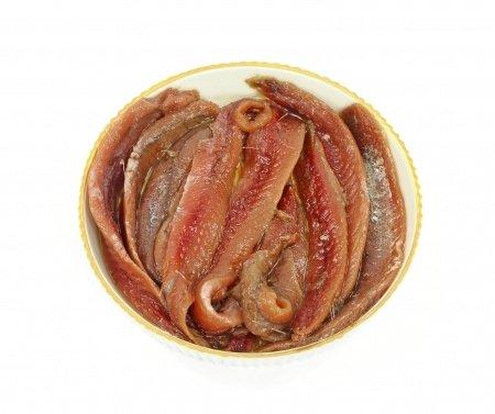 Anchoives Anchoives