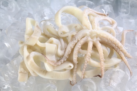 Calamari in Ice Calamari in Ice
