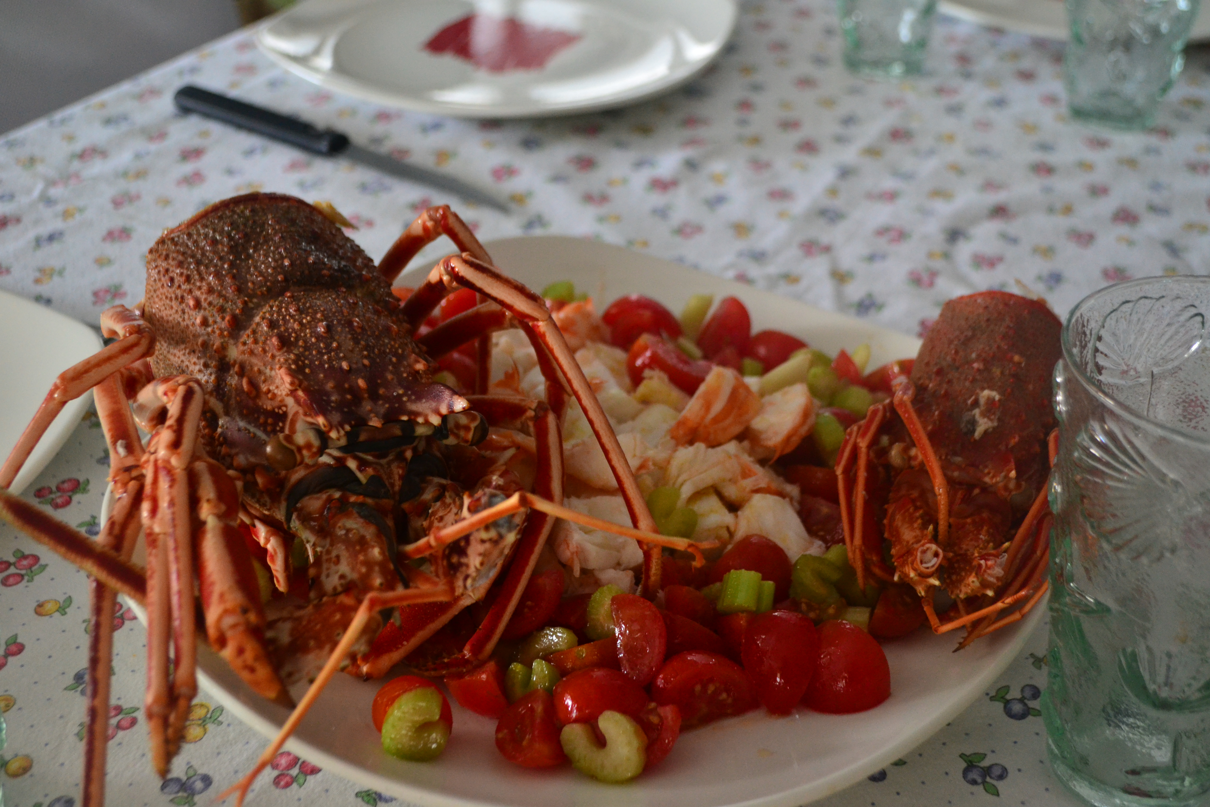 Lobster Salad Lobster Salad
