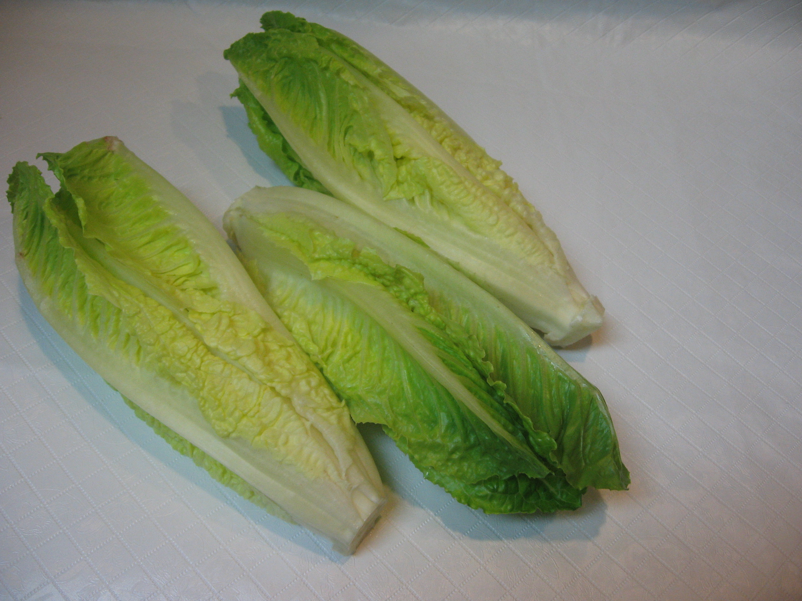 Romaine