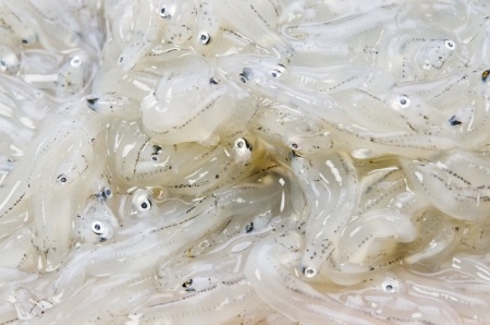 Raw Nunnata - Sfighiata Raw Nunnata - Sfighiata