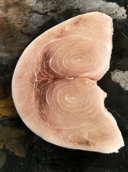 Slice of Swordfish